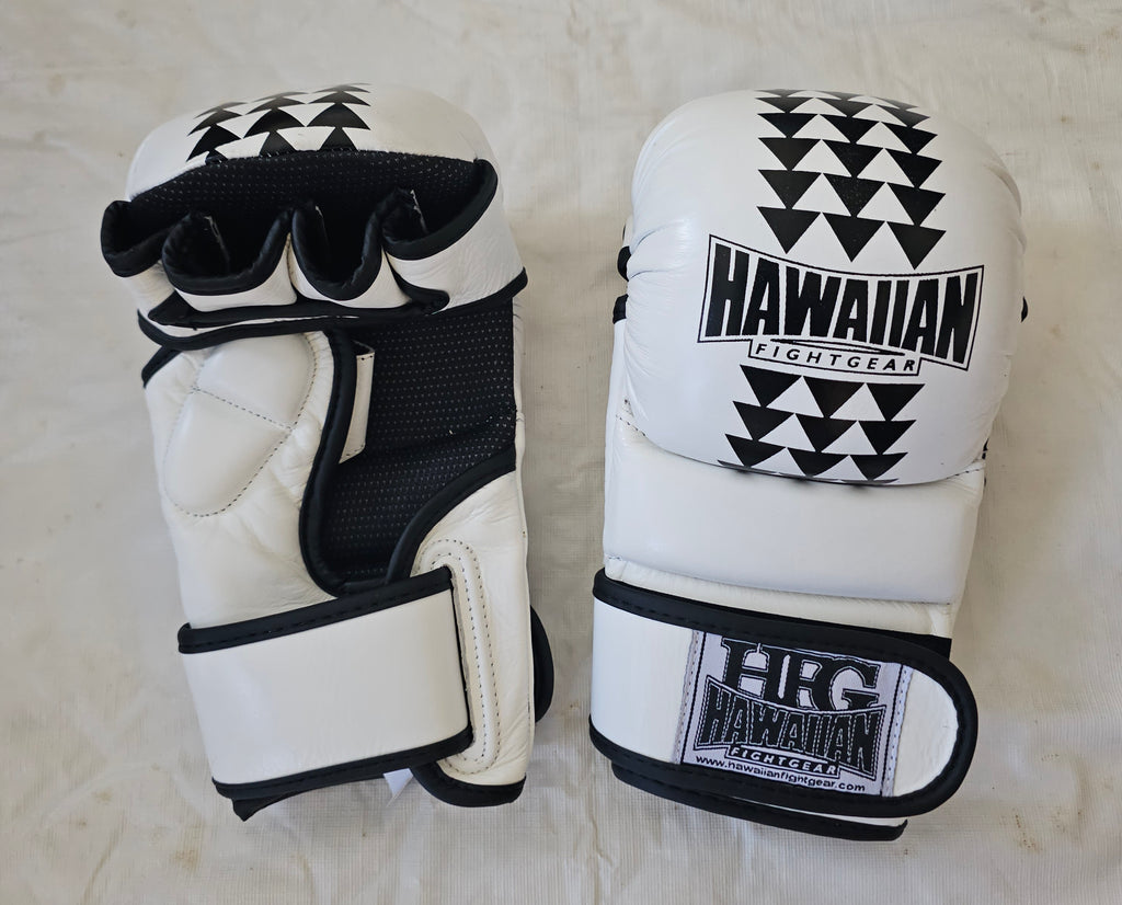 MMA Spar