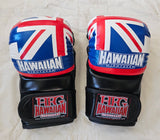 MMA Spar Gloves 6 oz.-Hawn Flag