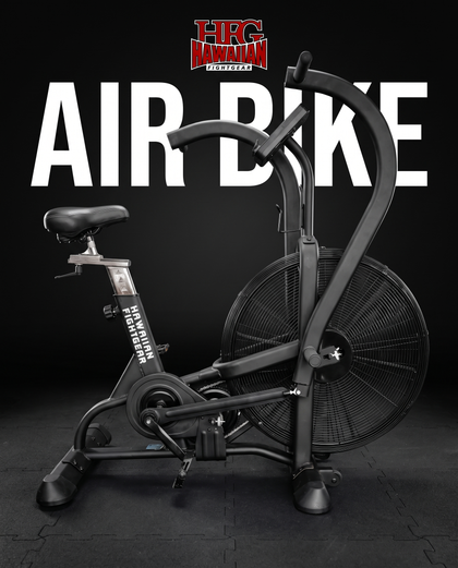 HFG "Luxury Fan" Elite Air Bike