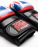 MMA Spar Gloves 6 oz.-Hawn Flag