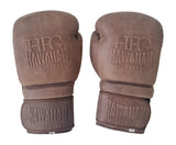 HFG "Hawaiian Beast" Training Boxing Gloves