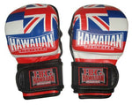 MMA Training Gloves "Hawn Flag" 6 oz.